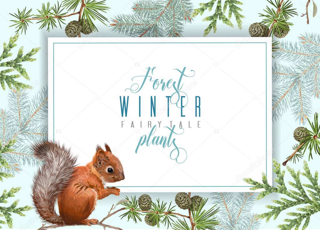 Winter squirrel horizontal banner