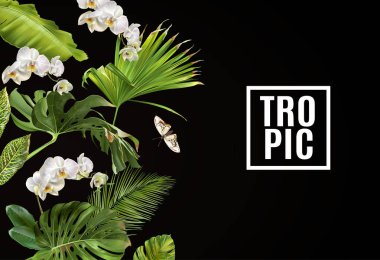 Tropikal orkide yatay banner