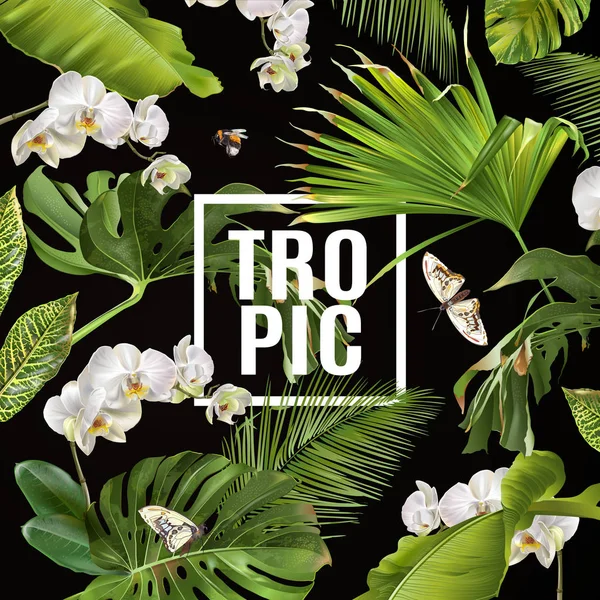 Banner de orquídea tropical — Vector de stock