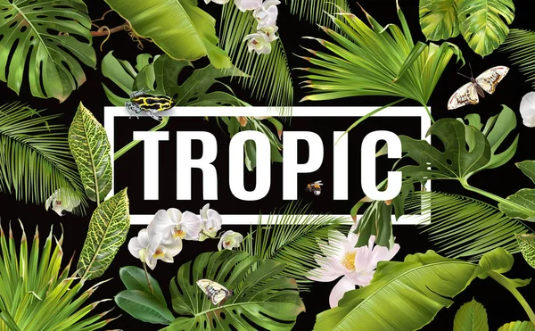 Bandiera orizzontale tropicale — Vettoriale Stock