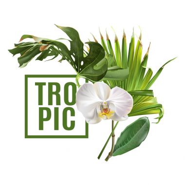 Tropik bitkiler afiş