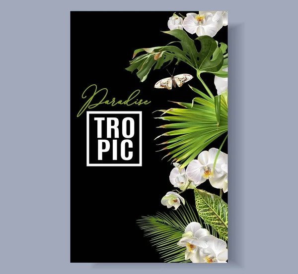 Tropische Orchideengrenze — Stockvektor