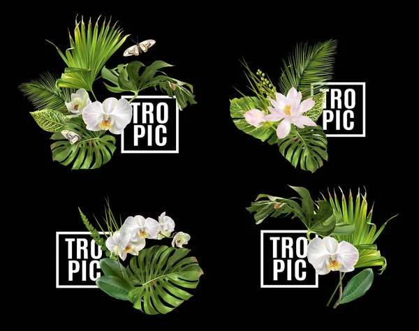 Plantas tropicales banner conjunto — Archivo Imágenes Vectoriales