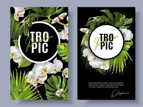 Banderas de orquídeas tropicales — Vector de stock