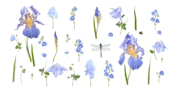 Conjunto de flor azul — Vector de stock