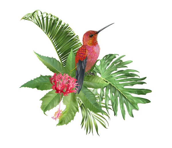 Hummingbird tropic arrangement — Stock Vector