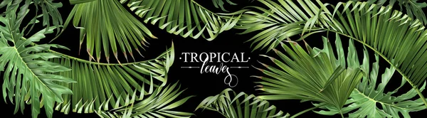 Tropiska löv web banner — Stock vektor