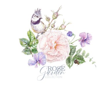 Suluboya pembe gül, menekşe ve kuş komoisisi