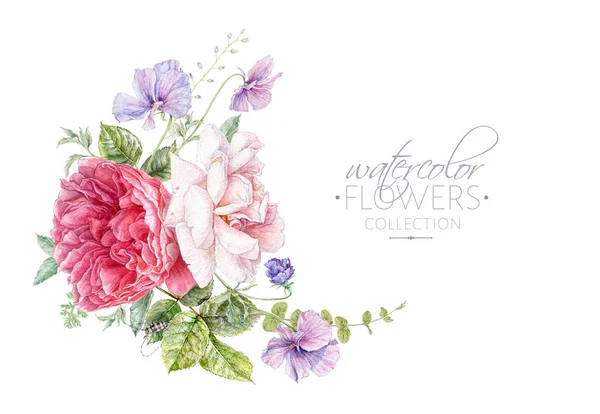 Aquarell rosa Rosen und violette Blüten — Stockfoto