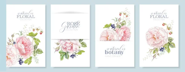 Aquarellkarten mit rosa Rose und Beeren — Stockfoto