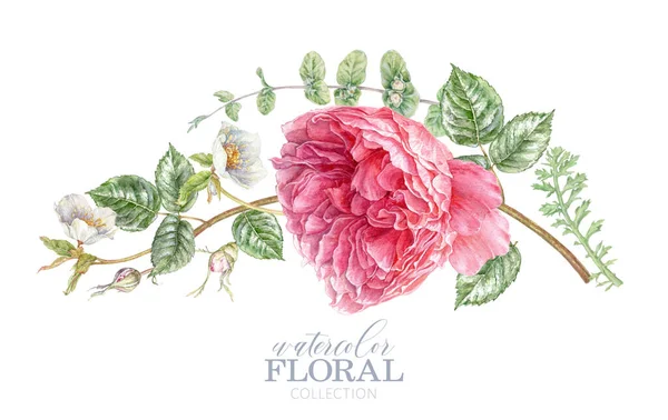 Aquarell-Karte mit rosa Rose und Hellebarde — Stockfoto