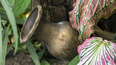 eski testiler Güzellik