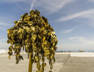 dilek ağacı altın