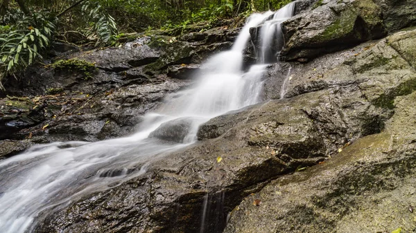 Waterfall water forest — Stock Photo, Image