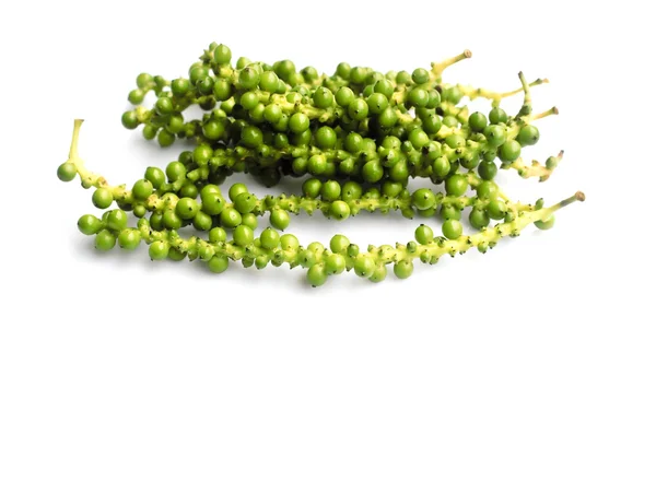 Verse Peppercorn bessen op een blad van peper wijnstokken geïsoleerd — Stockfoto