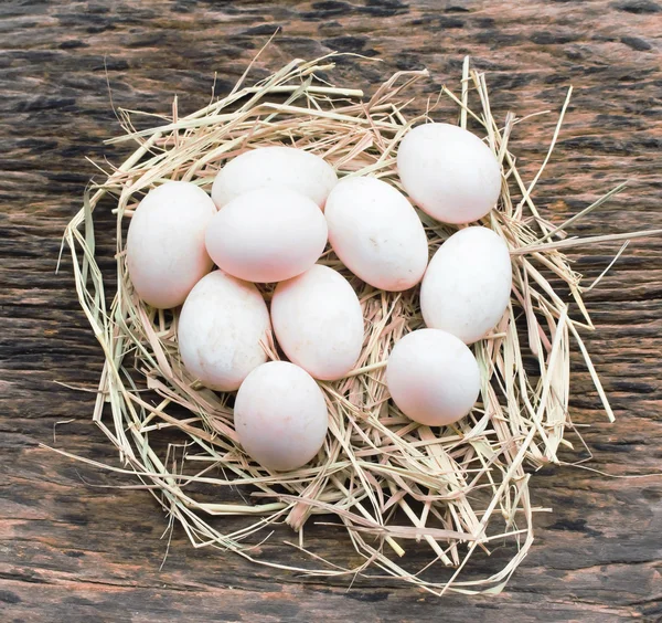 木の上の卵 — ストック写真
