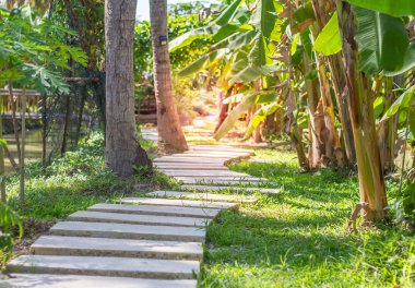 Bahçede doğa manzaralı sokak yürüyüşü.
