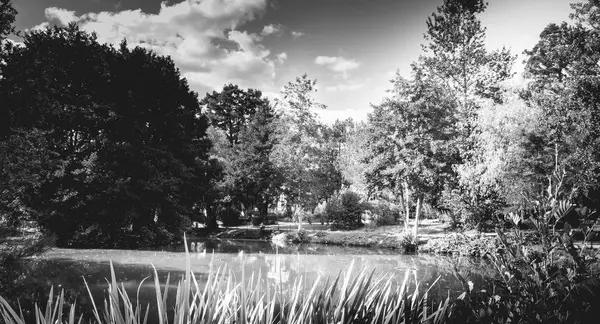 สวนสาธารณะที่ว่างเปล่าที่มีทะเลสาบในช่วงฤดูร้อน — ภาพถ่ายสต็อก