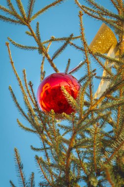 bir Noel ağacına asılı kırmızı Noel top