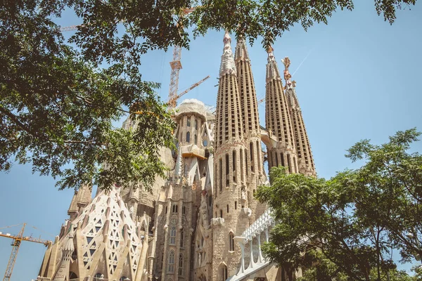 Katedral Sagrada Familia mimarisinin ayrıntılı