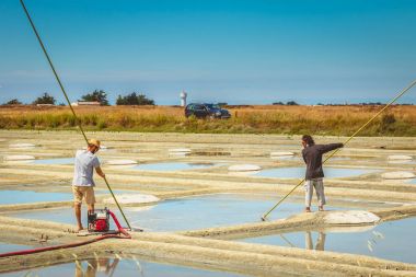 Two men harvest salt in the traditional way in the salt marshes clipart