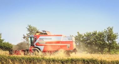 birleştirmek bir alanda buğday yaz aylarında hasat.