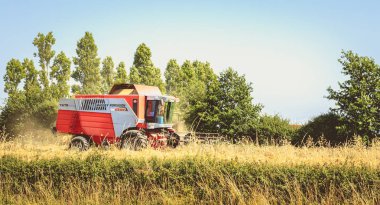 birleştirmek bir alanda buğday yaz aylarında hasat.