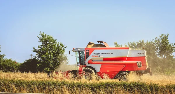 birleştirmek bir alanda buğday yaz aylarında hasat.