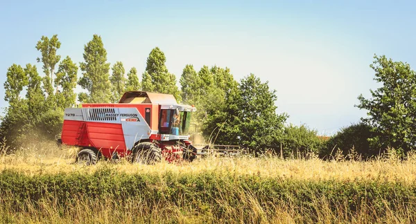 birleştirmek bir alanda buğday yaz aylarında hasat.