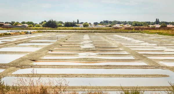 Palude salina tradizionale di Noirmoutier durante la raccolta del sale — Foto Stock