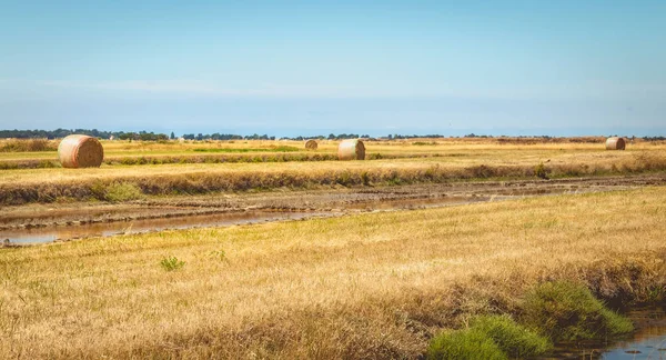 Stivali di paglia pronti per essere raccolti fino a paludi di sale costa sul i — Foto Stock