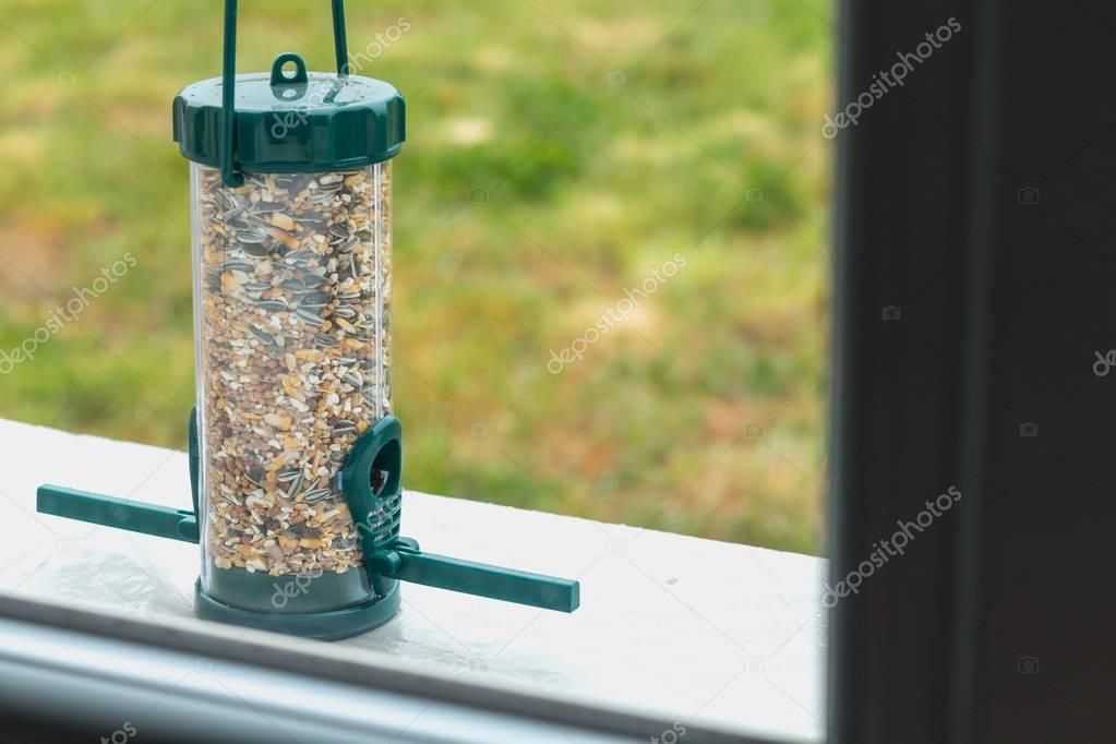 seed dispenser for birds behind a window