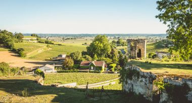 görünüm üzerinde üzüm bağları Saint Emilion Vadisi