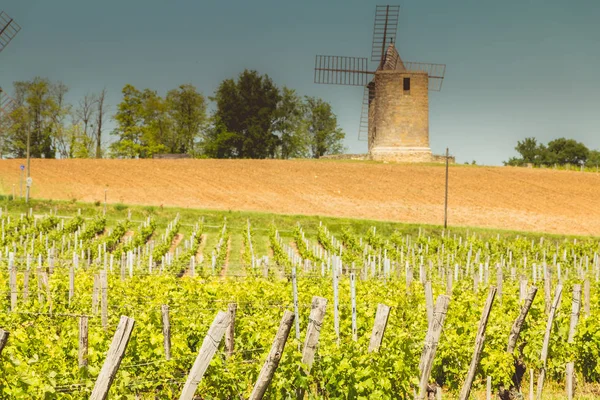 Vecchio mulino a vento dietro le viti vicino Saint Emilion in Francia — Foto Stock