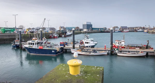 İrlanda 'nın Howth limanının manzarası — Stok fotoğraf