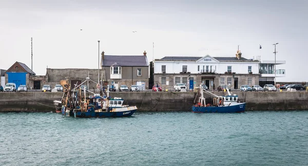 アイルランドのハウスの漁港の眺め — ストック写真