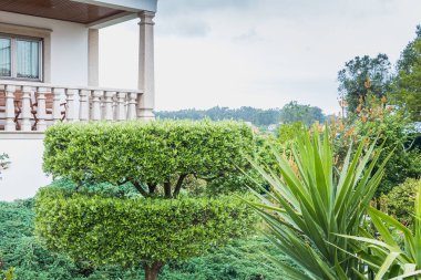 Kuzeydeki küçük bir köydeki tipik bir evin mimari ayrıntıları.