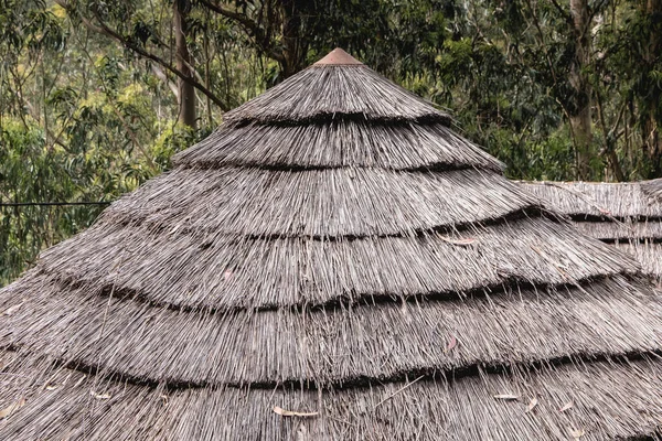 Детали традиционной соломенной крыши в Португалии — стоковое фото