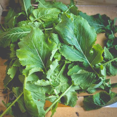 nabika yaprağı - geleneksel Portekiz lahanası bir sandıkta