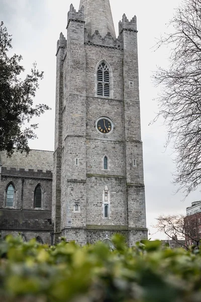 Architektonisches Detail der Kathedrale von St. Patrick — Stockfoto