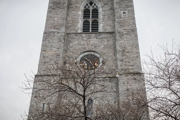 Architektonický Detail Katedrály Patrika Dublin Irsko — Stock fotografie