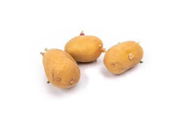 Stüdyodaki beyaz arka plana ekilmeye hazır patatesler.