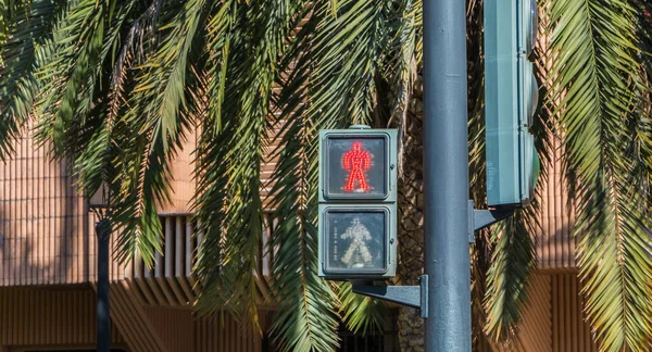 西班牙一条有手掌的街道上明亮的红色行人灯 — 图库照片