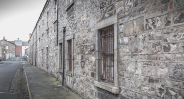 Dublin, İrlanda - 13 Şubat 2019: Bir kış gününde İrlanda Ulusal Müzesi'nin mimari detayı