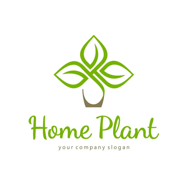 Inicio planta vector logotipo plantilla — Vector de stock