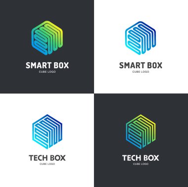 Logo şablonu altıgen tasarım. Tech Kutusu, akıllı kutusu