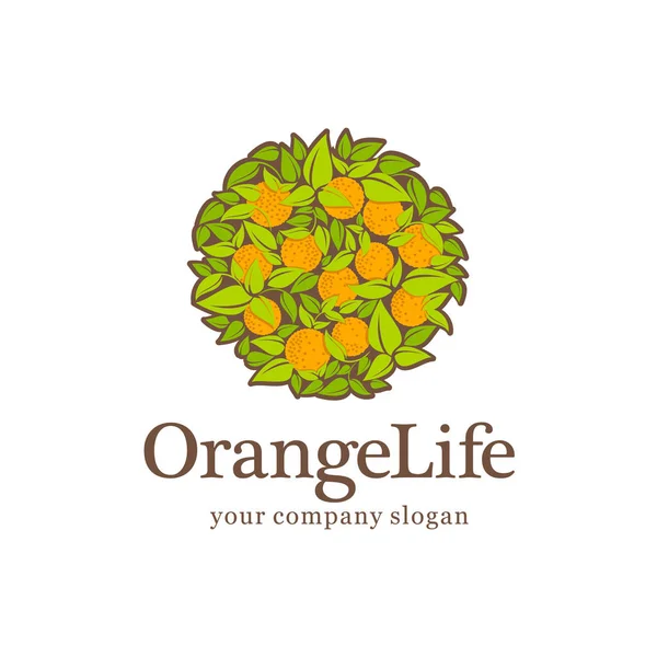 Emblema Biologico Logo Vettoriale Orange Life Succo Arancia — Vettoriale Stock