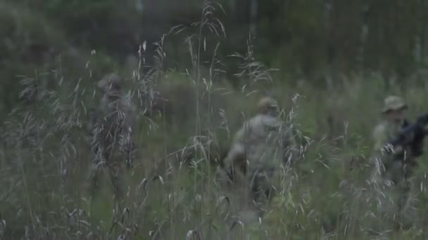 La hierba en el campo en un contexto de guerra. Los soldados quieren el campo de fondo — Vídeos de Stock