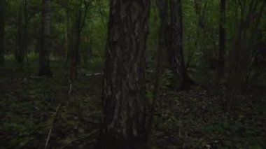 Ormandaki ordu ağacın yanında pusuda oturuyor. Yeşil çalılıkta bir ağacın arkasına saklanan asker