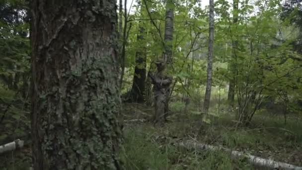 Les soldats traversent les bois. Militaire avec des armes envoyées dans les fourrés de vert. jeu airsoft — Video